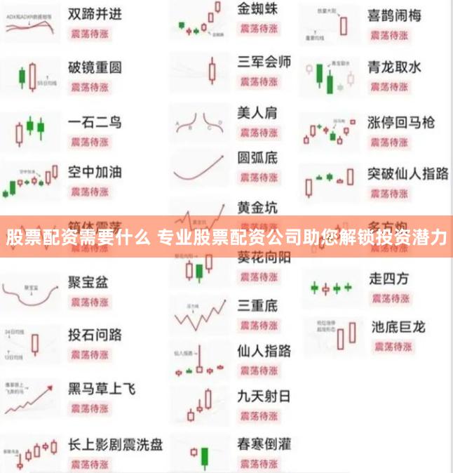 股票配资需要什么 专业股票配资公司助您解锁投资潜力