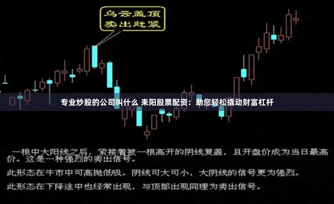 专业炒股的公司叫什么 耒阳股票配资：助您轻松撬动财富杠杆